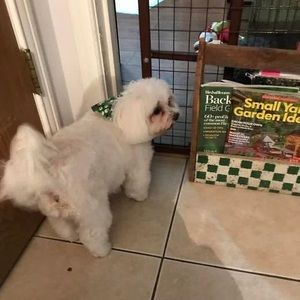 Meet your Posher, Jody